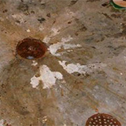 Toronto sewage cleanup services