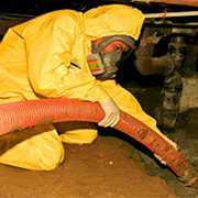 Toronto sewage cleanup